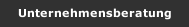 Unternehmensberatung